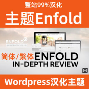 enfold theme simplified and traditional download