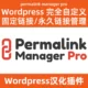 パーマリンクの長pro2.2.1.4中国sinicization