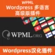 Wordpress Multilingual Plugin Download