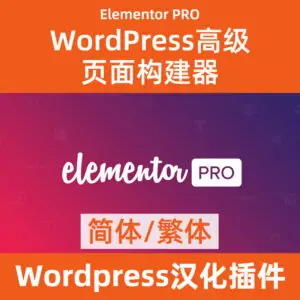Скачать Elementor Pro конструктор страниц на китайском языке