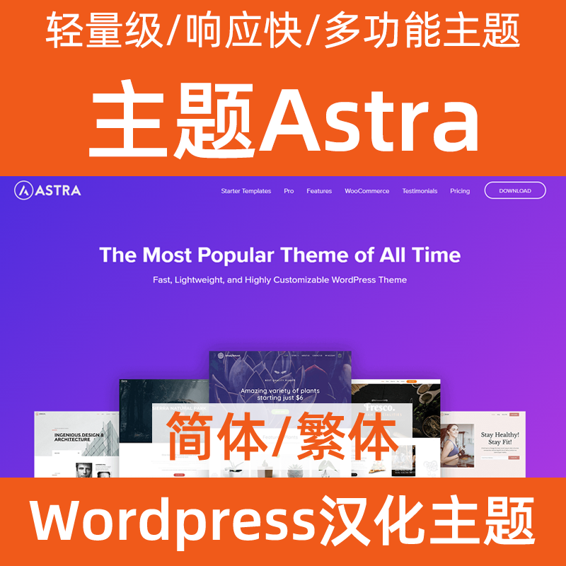 Lightweight/fast response/multifunctional theme Astra Chinese theme