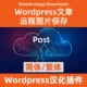Wordpress 远程图片下载文章版 Remote Image Downloader